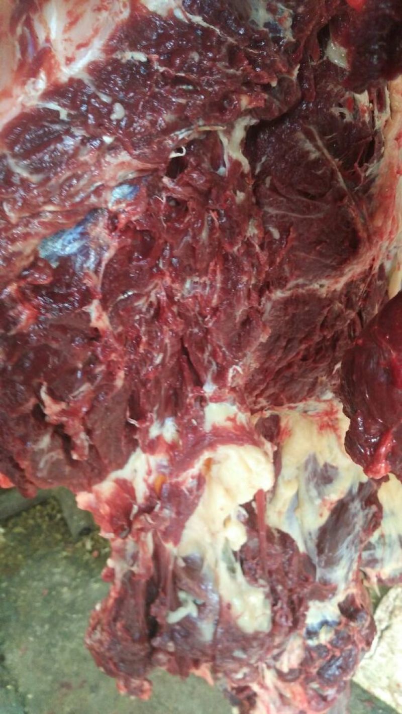 驴肉鲜货