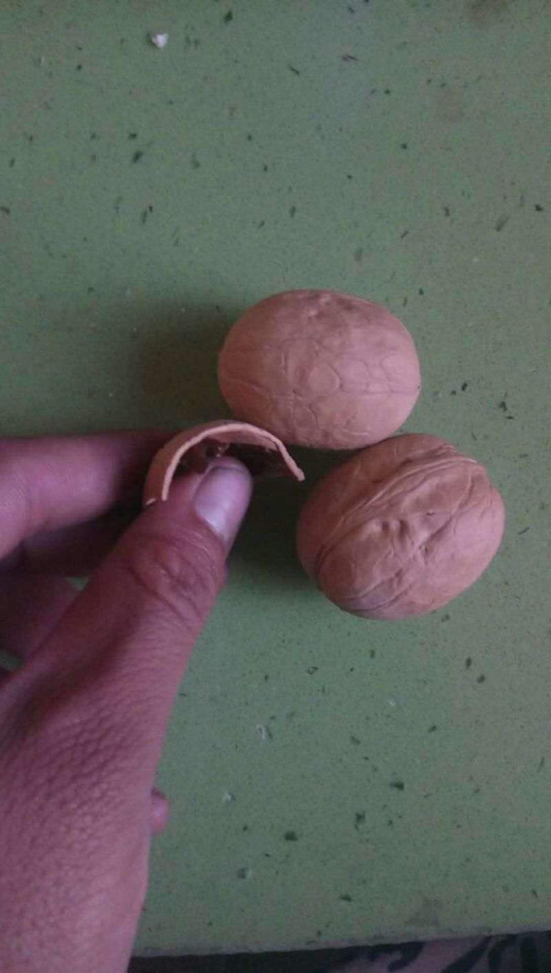 薄皮核桃新疆温宿纸皮核桃