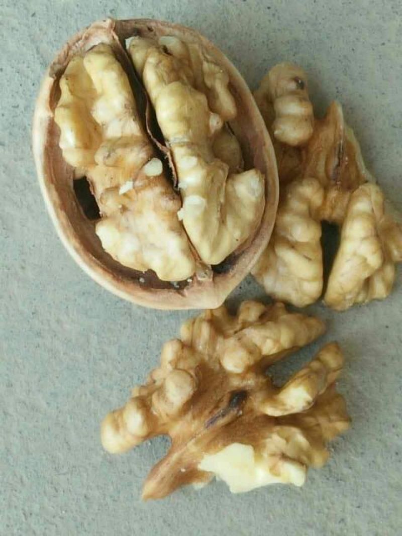 新新2号核桃去皮干