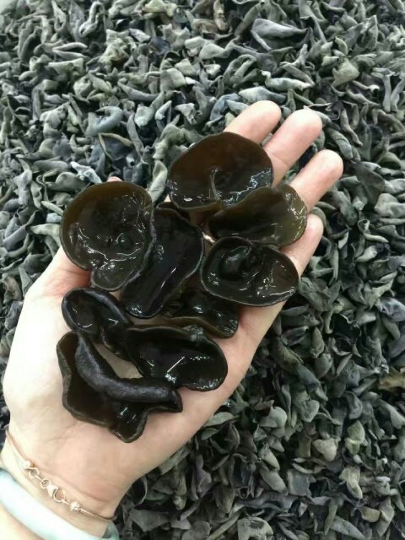 黑山秋耳一级