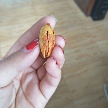 新疆巴旦木袋装