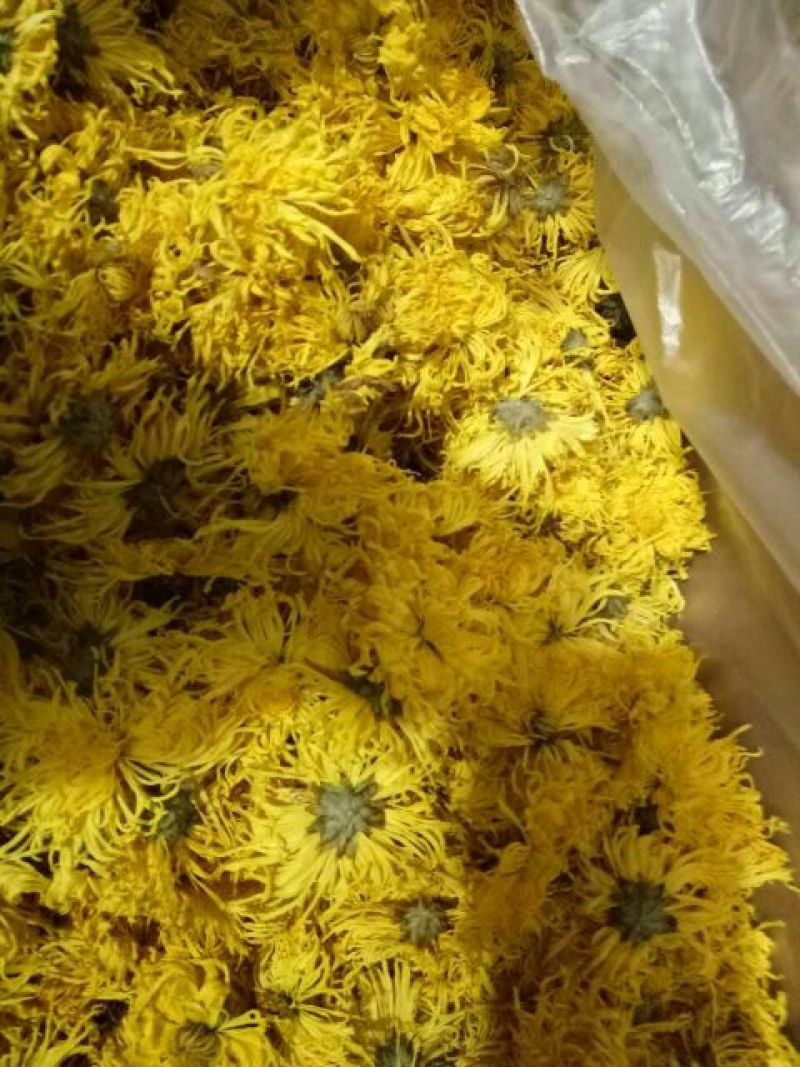 菊花茶