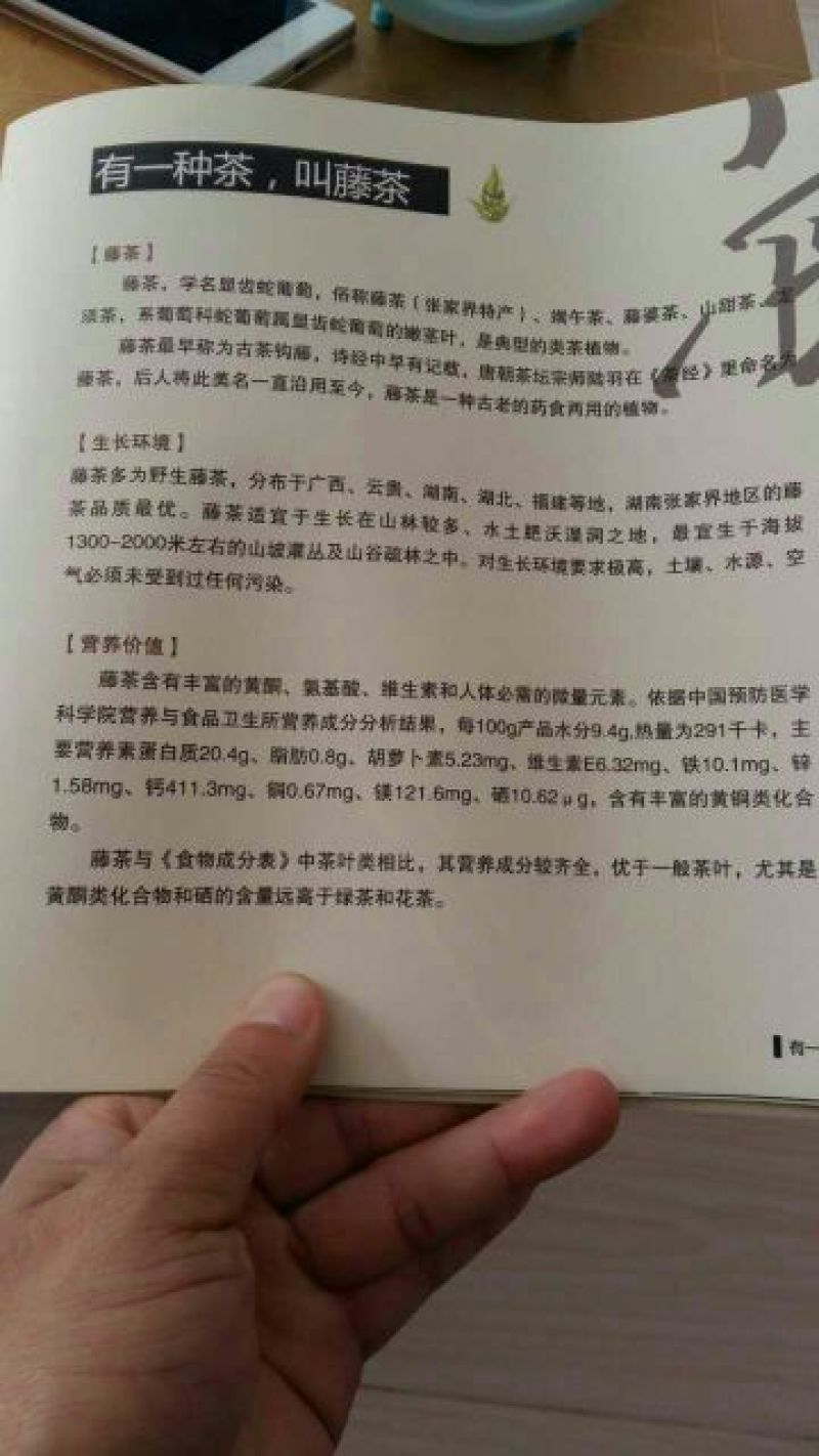 藤茶特级