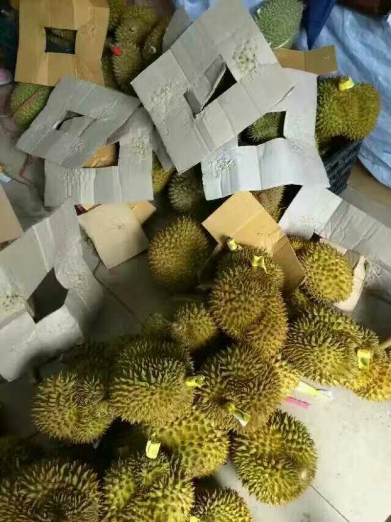 干荛榴莲5~8斤