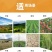 微耕机平地丘陵山地汽油型