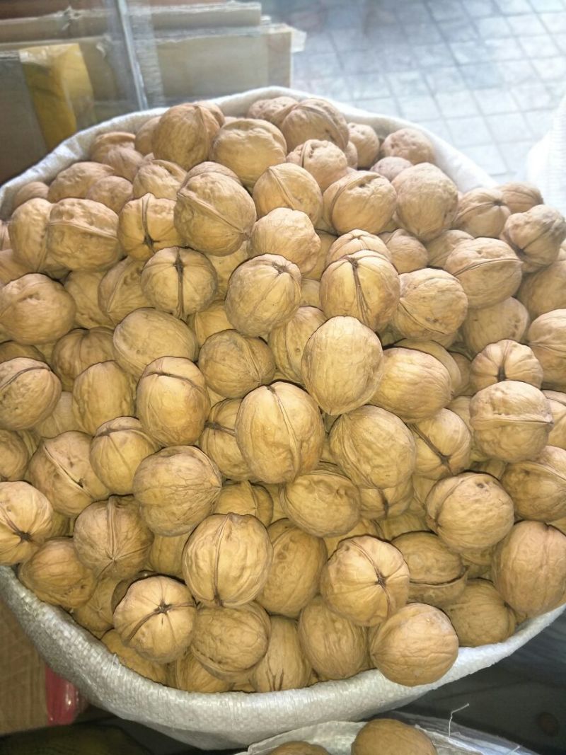 新疆185核桃去皮干