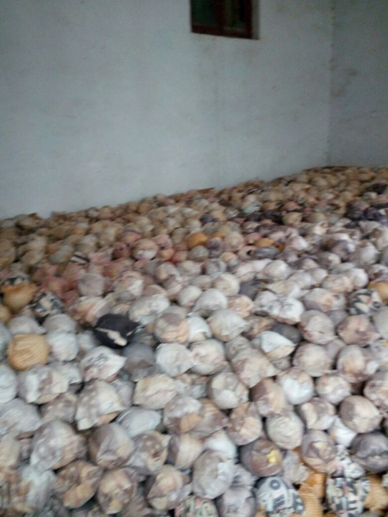 酥梨300~350g纸袋