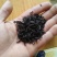 青钱柳茶一级