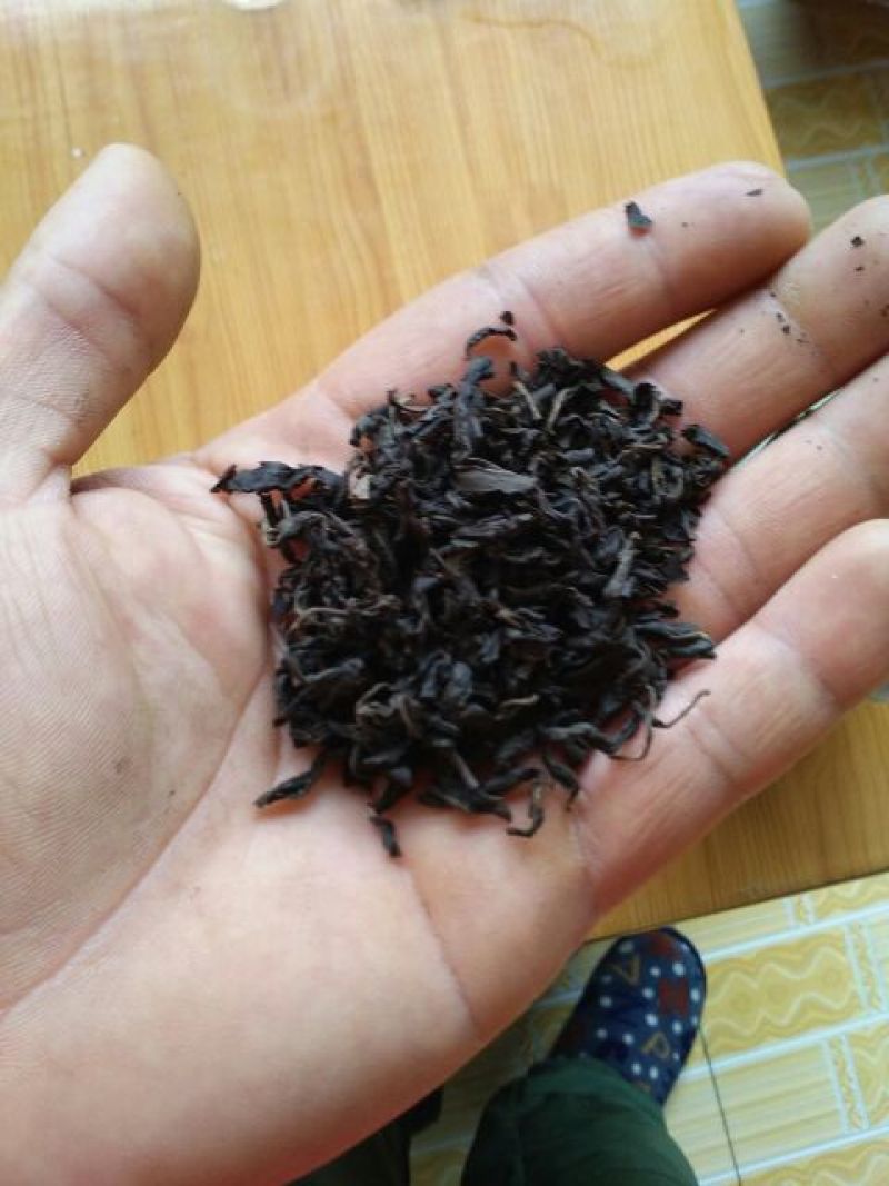 青钱柳茶一级