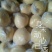 礼泉酥梨150~200g纸箱