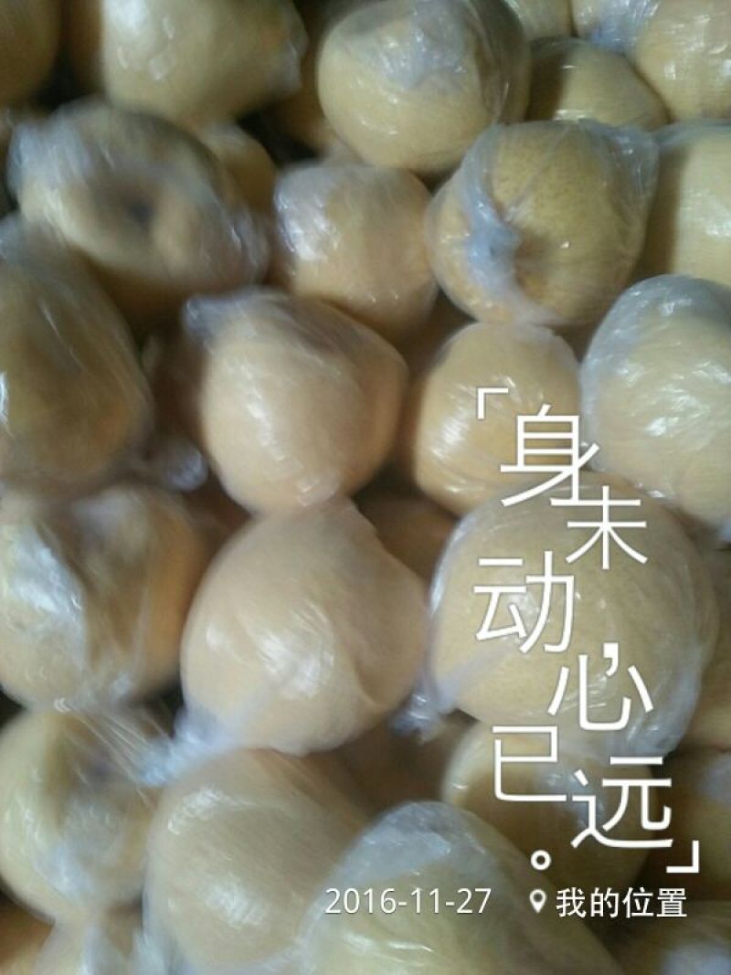 礼泉酥梨150~200g纸箱