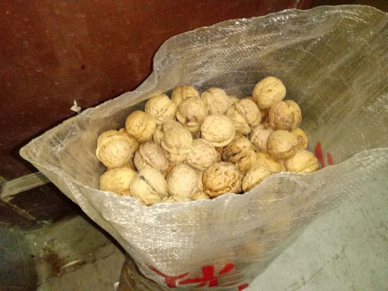 薄皮核桃30mm以上去皮