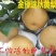 晚秋黄梨膜袋60~100g甜度高表光如服务优