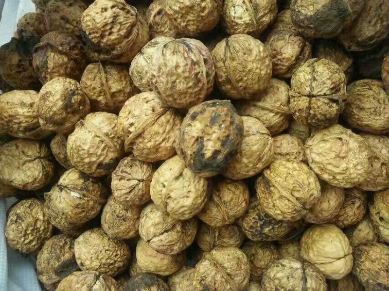纸皮核桃去皮干