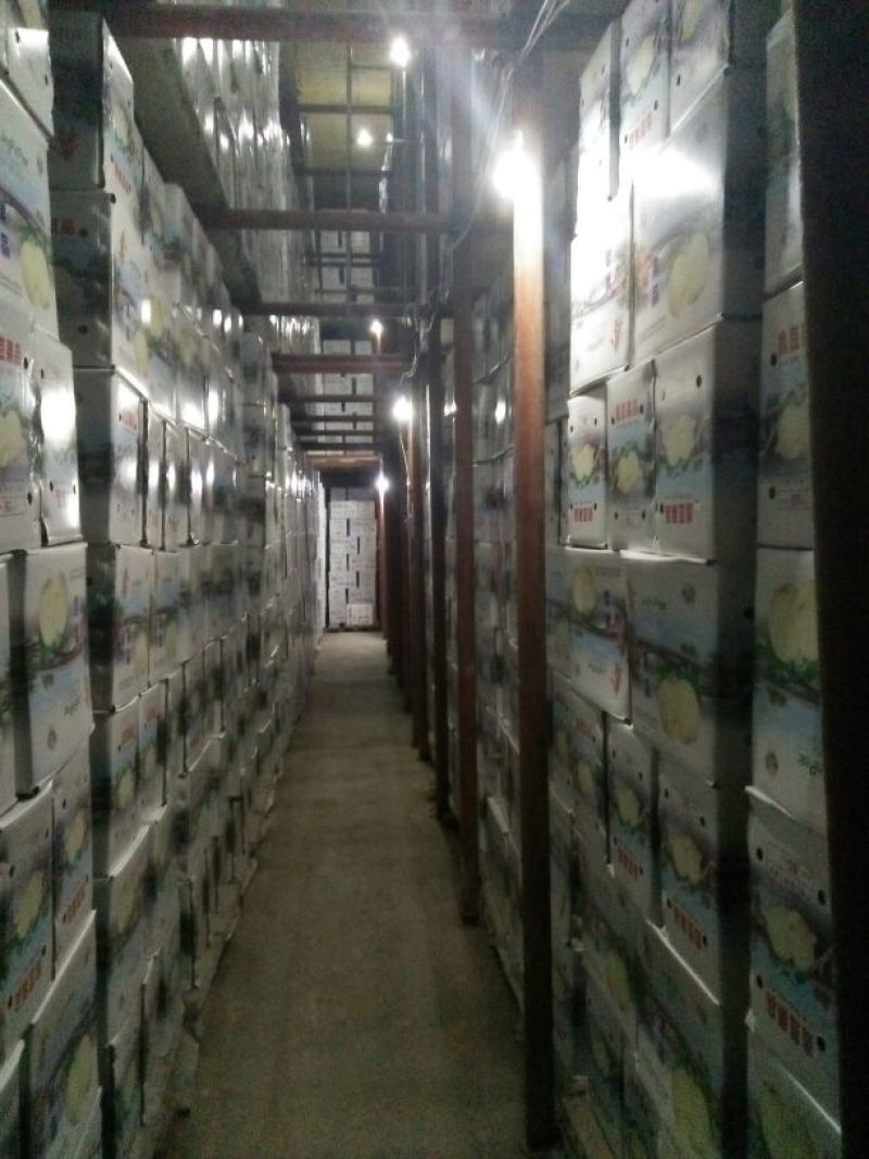 皇冠梨600g以上纸箱