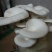 白平菇