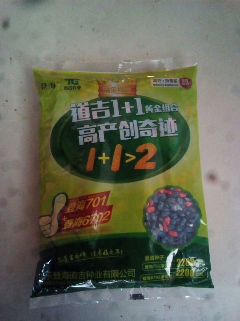 玉米种子