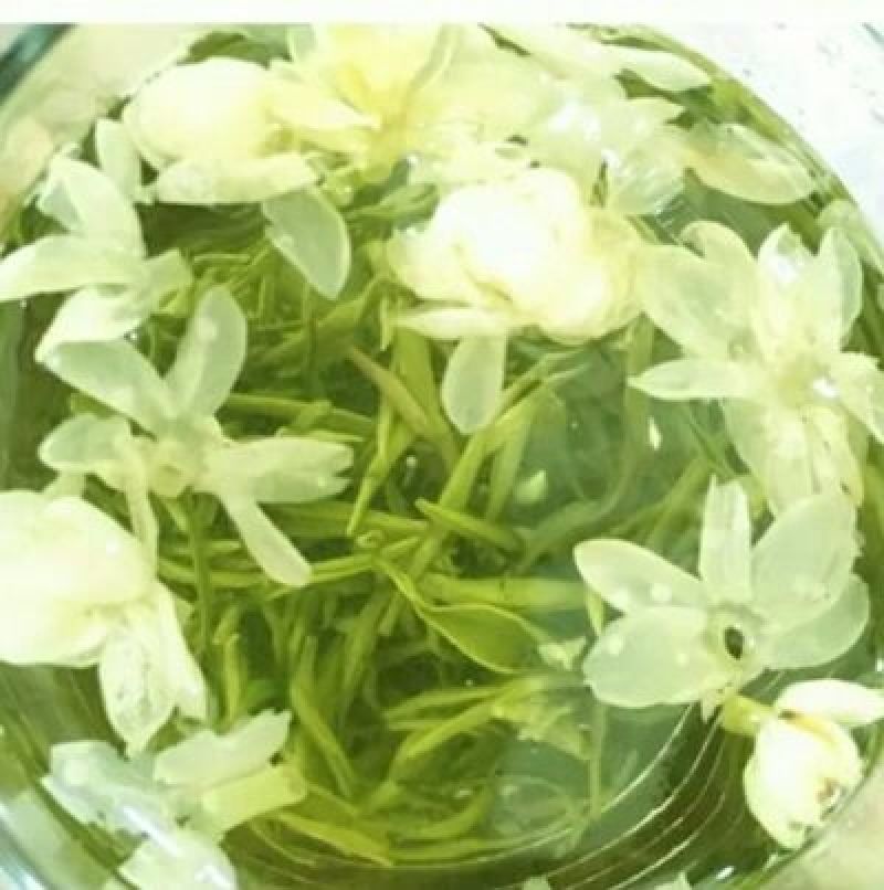 川茶特级