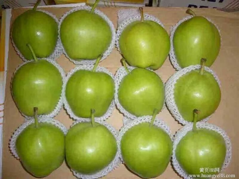 早酥梨150~200g纸袋