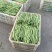蛇豆大量上市欢迎新老客户选购