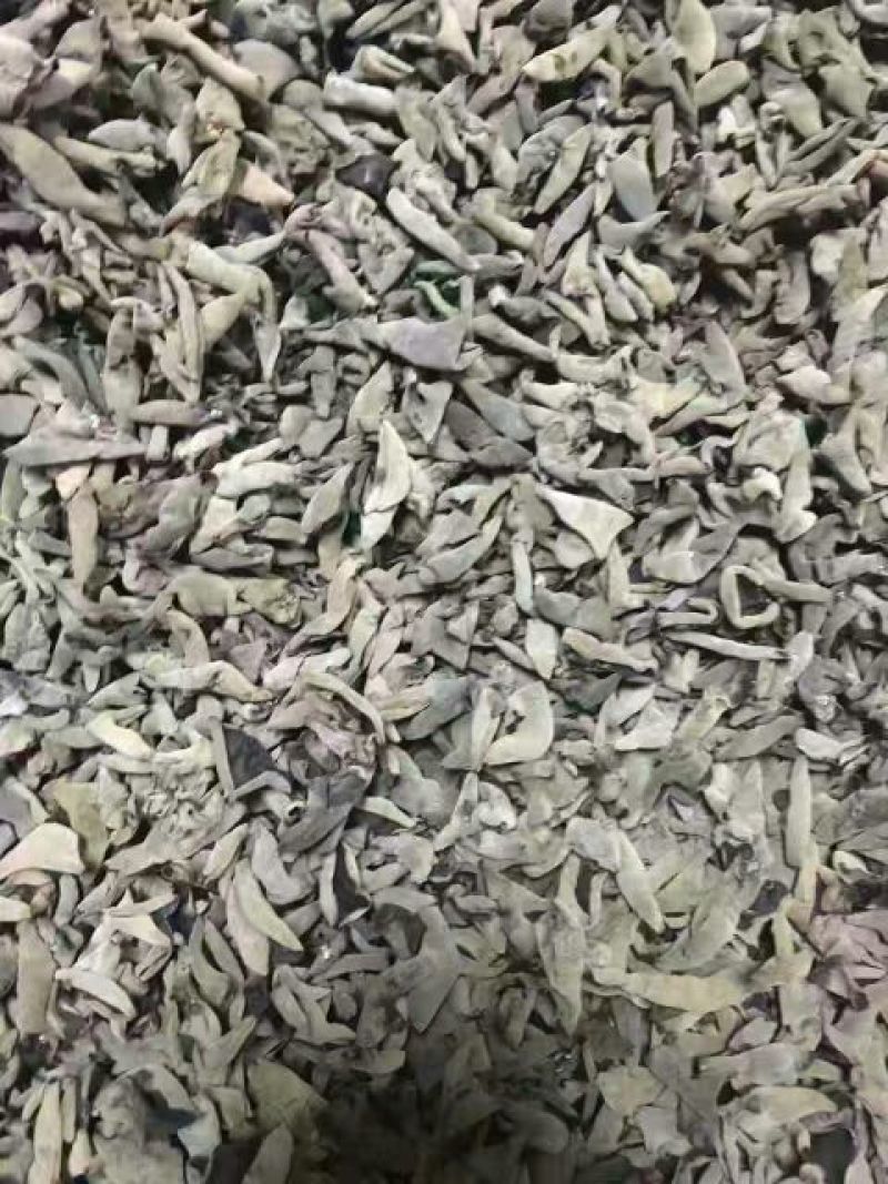 黑木耳特级