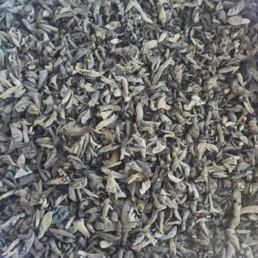 黑木耳一级