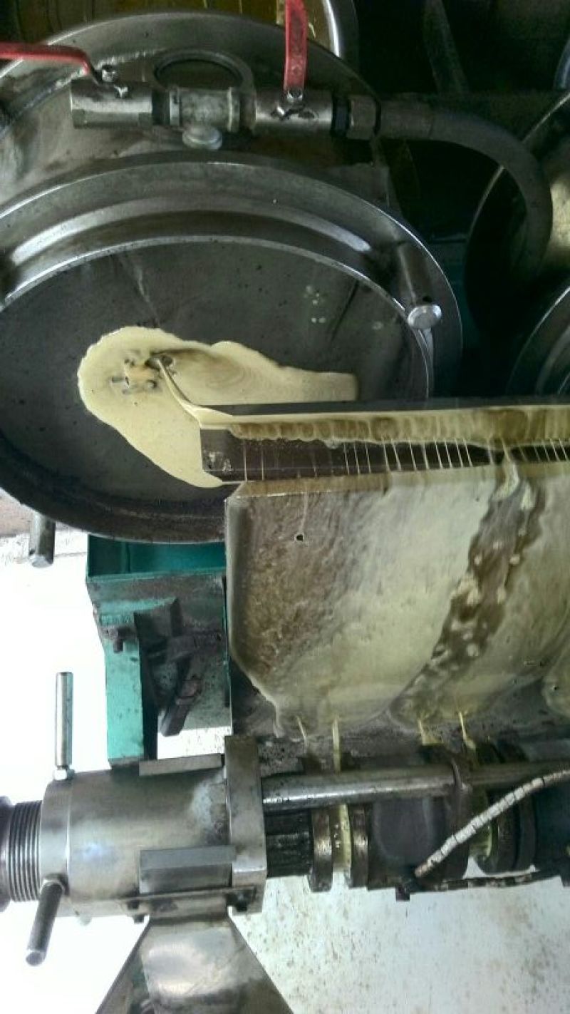 压榨菜籽油