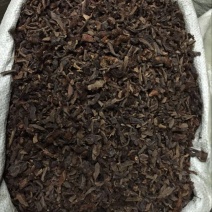 骨碎补