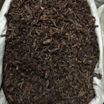 骨碎补