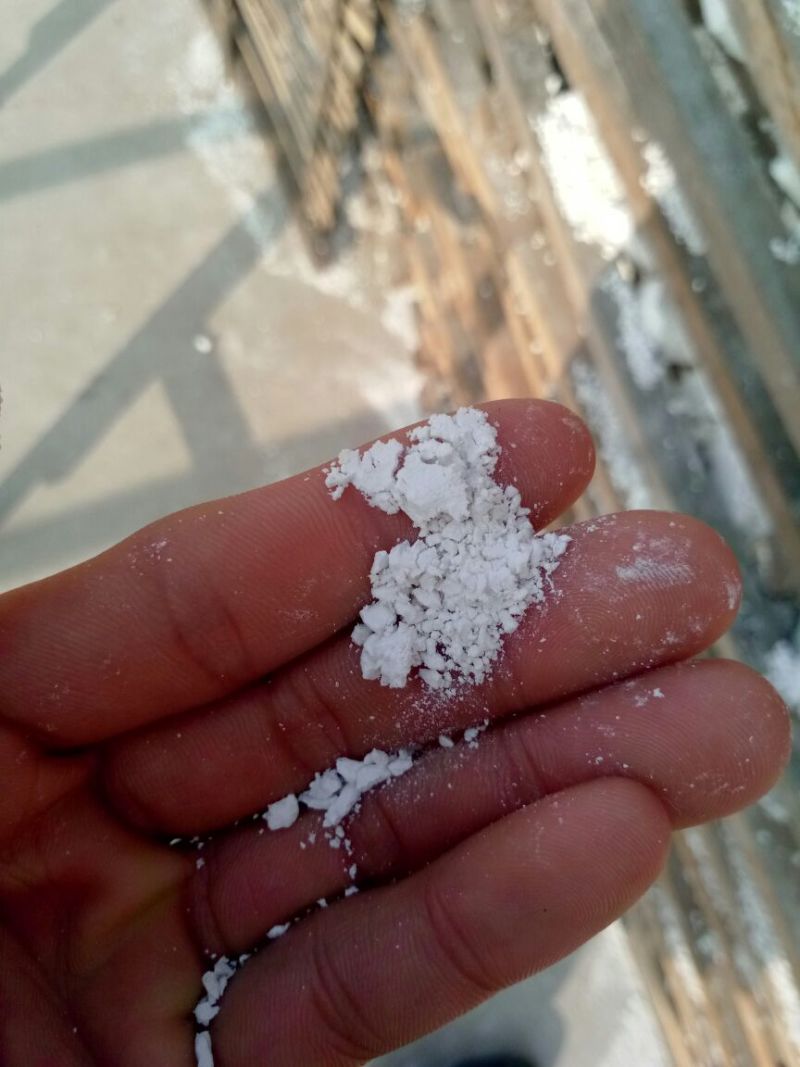 红薯粉面颗粒
