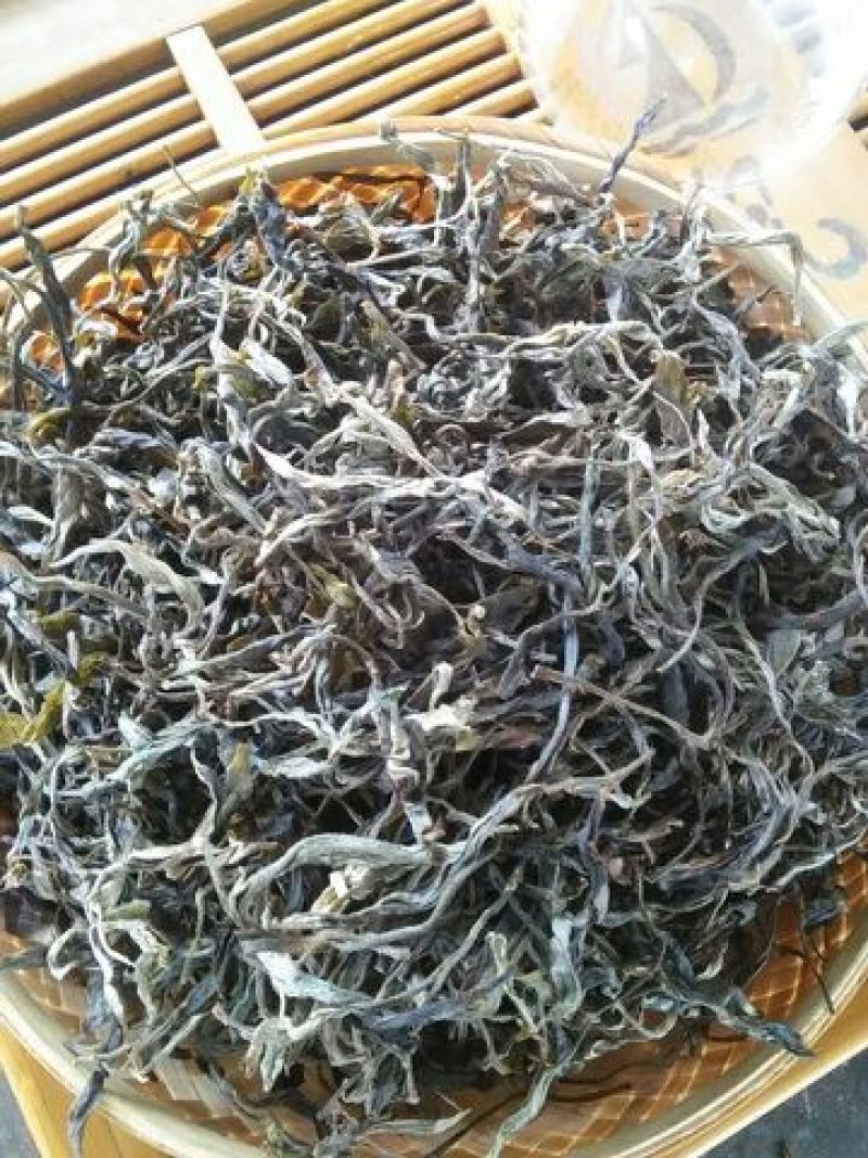 本山茶一级