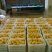 梨300~350g纸袋