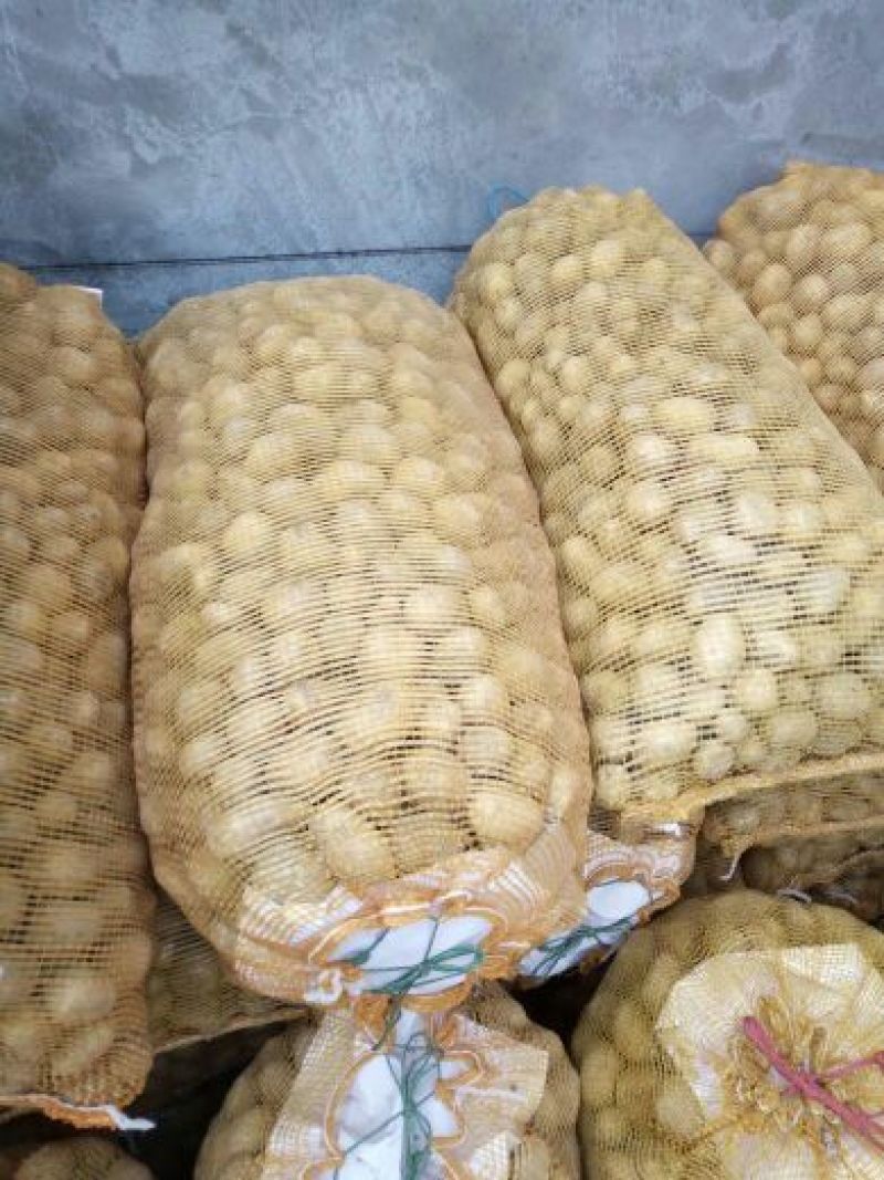 油炸小土豆1两以下长年供应黄皮黄心，规格可定制分选