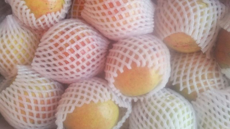 枣庄石榴3两~5两
