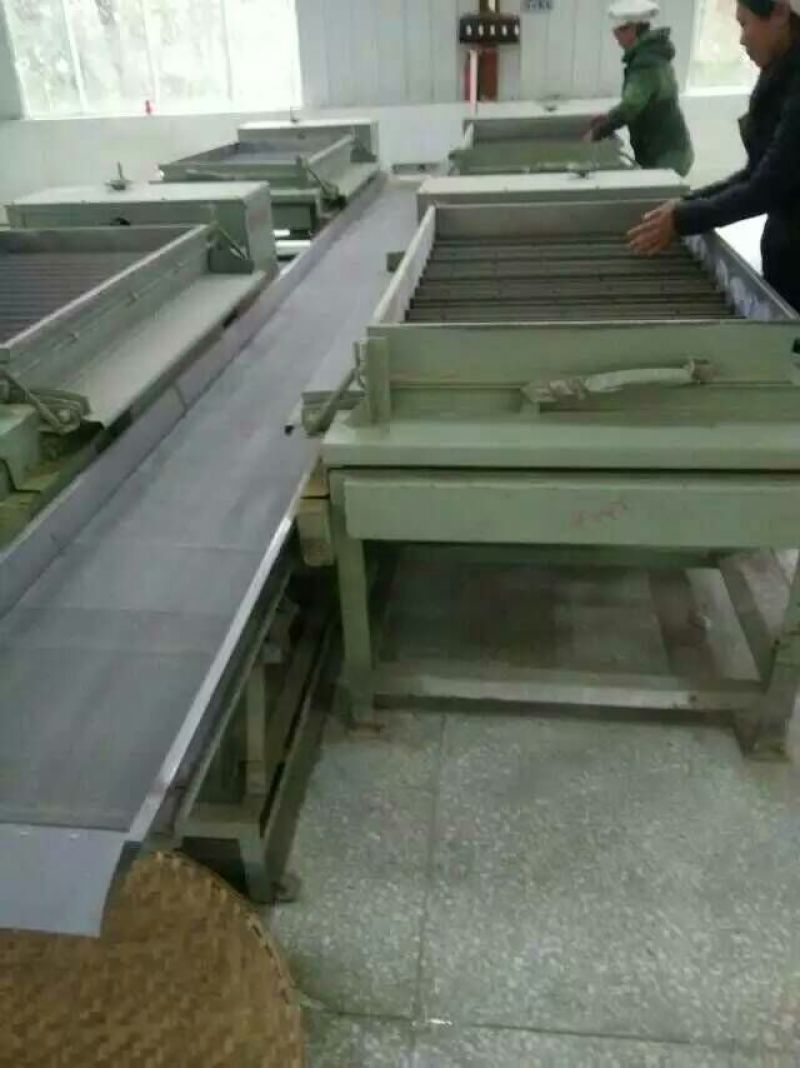 本山茶特级