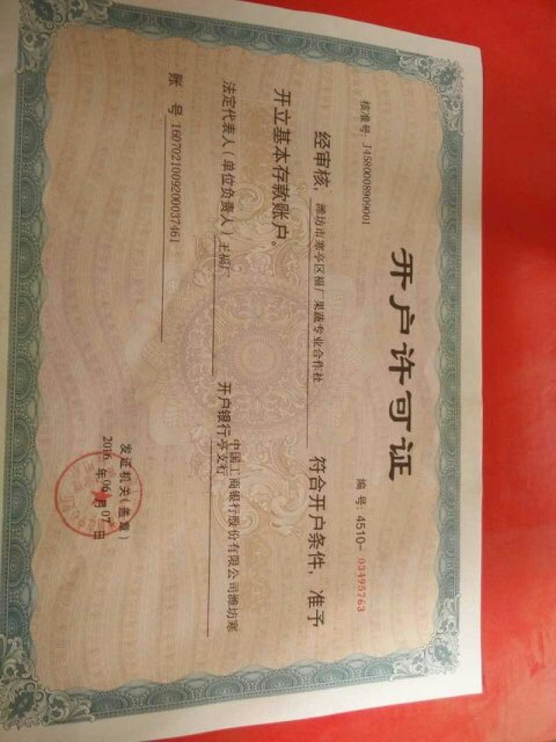 青萝卜