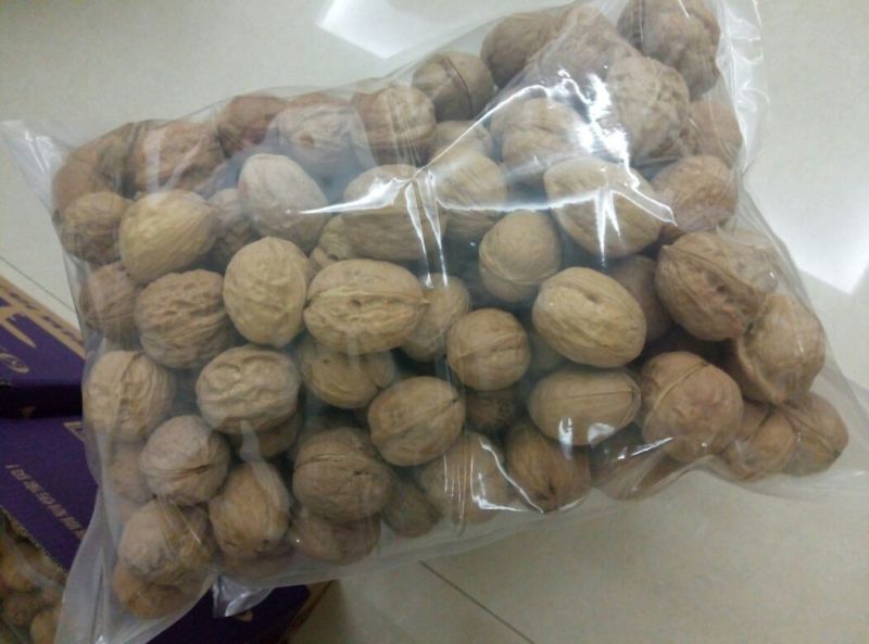 纸皮核桃去皮干