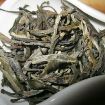 古树茶特级