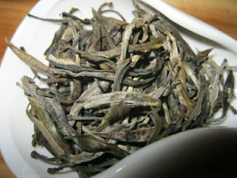 古树茶特级