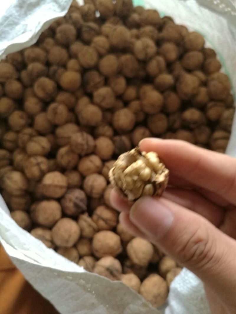 薄皮核桃25mm以下去皮