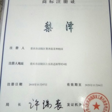 红薯淀粉