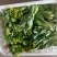 红菜苔15~20厘米