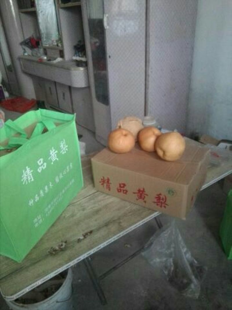 晚秋黄梨600g以上纸加膜