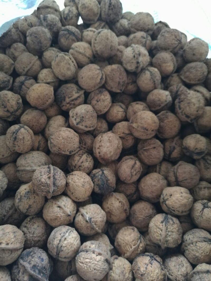 薄皮核桃25mm以下去皮