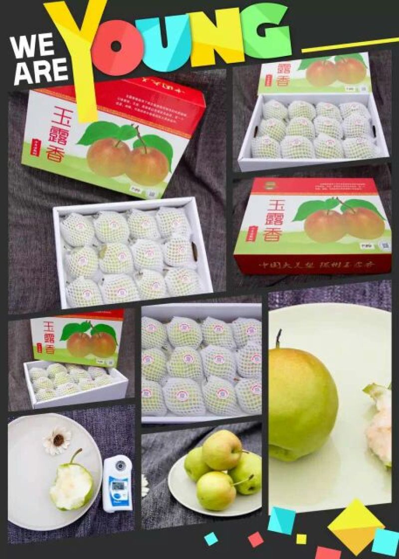 玉露香250~300g膜袋