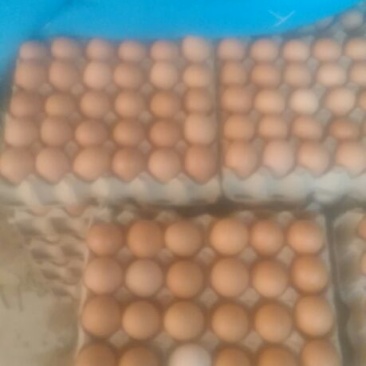 普通鸡蛋食用60~75g