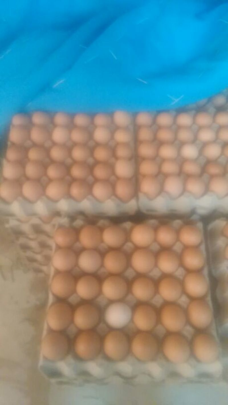 普通鸡蛋食用60~75g