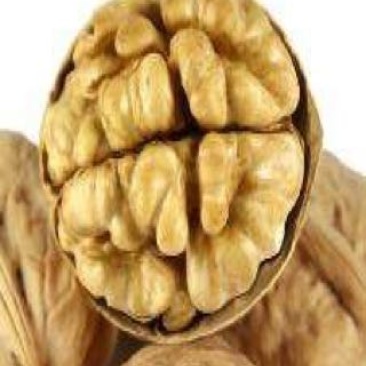 纸皮核桃