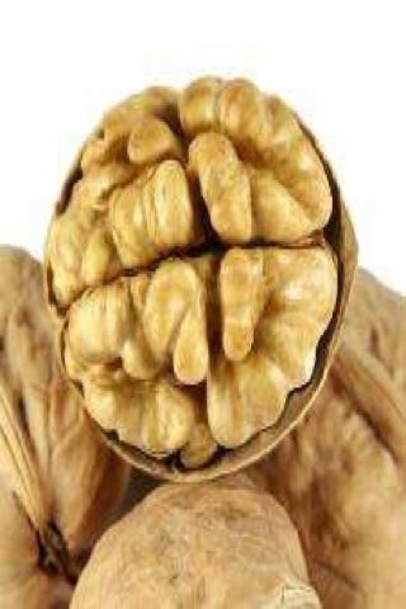 纸皮核桃