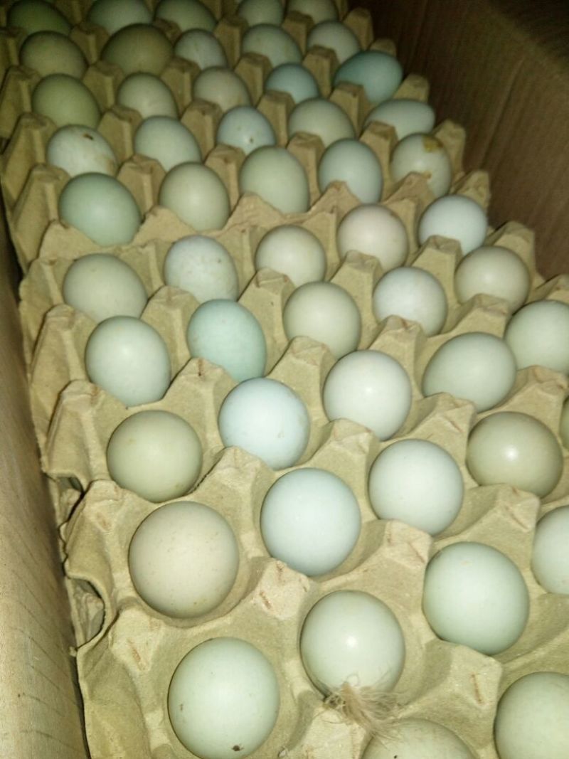 土鸡蛋食用50g以下